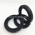 Standard/Nonstandard Rotary Oil Seal Double Lip Skeleton Rubber Oil Seal with Double Spring